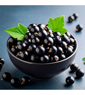 Black Currant Natural Flavour Powder